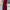 Plus Size Velvet Knee-Length Dress Round Neck Long Sleeve Straight Fit
