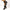 Women's Breathable Mesh Stiletto Heels Peep Toe D'Orsay Lace-Up Dress Pumps