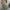Green Floral V-Neck Maxi Dress, Cinched Waist A-Line with Short Batwing Sleeves — Glossy Polyester for Spring/Summer