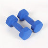 2-Pack Color-Dipped Cast Iron Dumbbells - Women's Hand Weights for Home Fitness