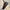 Vintage Chic PU Baguette Shoulder Bag for Women - Zipper Closure, Fixed Shoulder Strap, Spacious Underarm Handbag (Red, Green, Tan)