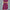 Women's V-Neck Ruched Midi Dress with Belted Waist, Short Sleeve Flowy Skirt for Spring/Summer