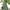 Women's V-Neck Sleeveless Maxi Dress – Elegant Loose Flowy Long Dress in Burgundy | All-Season, Machine Washable