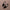 Women's Lightweight Pointed Toe Slip-On Flats, Elegant Daily Loafers