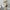 Plus Size Drop Shoulder Ribbed Crew Neck Sweater Set and Maxi Dress