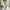 Plus Size Women's Hooded Sweater - Semi-Sheer Tassel Pullover, Machine Washable Long Sleeve Fall/Winter Top
