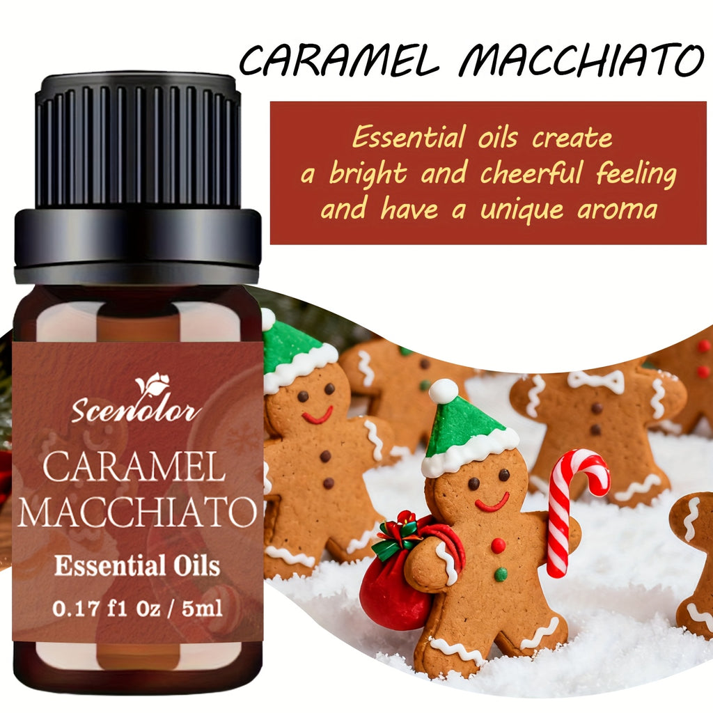 12-Pack Holiday Essential Oils Set 0.17 fl oz (5 ml) Bottles — Cinnamon, Gingerbread, Christmas Tree, Pumpkin Cake, Sandalwood, Fireside | Aromatherapy Oils for Diffusers, Humidifiers & Candle Making