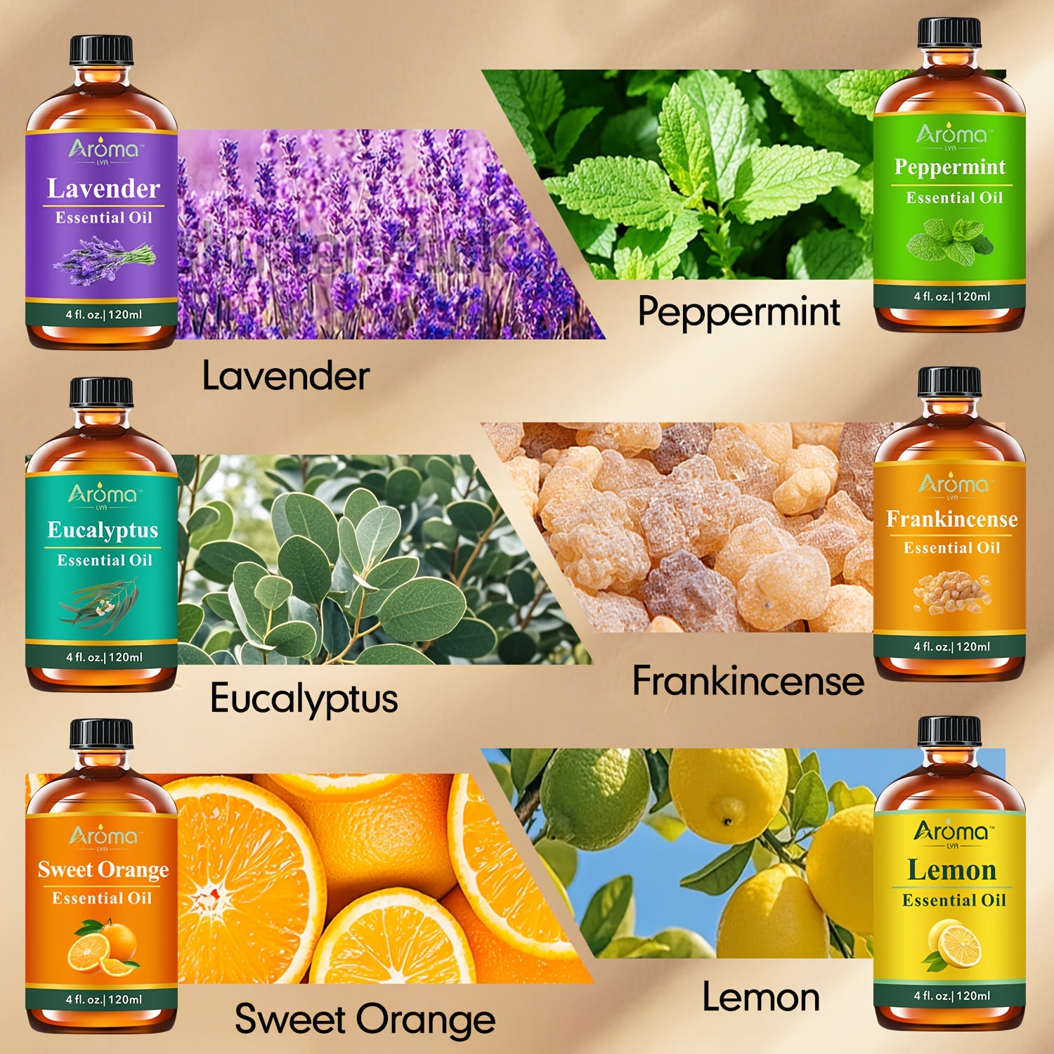 4 fl oz (118 ml) Natural Essential Oil Set – Lavender, Eucalyptus, Frankincense, Lemon, Sweet Orange, Peppermint – Aromatherapy Oils for Diffusers, Candles, Soap Making & Car Freshener