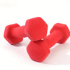 2-Pack Cast Iron Dumbbells – Heavy-Duty Fixed Weight with Non-Slip Grip & Color-Coded Plates (Red/Blue/Purple) for Home Gym
