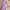 Petal Sleeve V-Neck Ruffle Hem A-Line Dress - Casual Summer