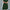 Women's V-Neck Ruched Midi Dress with Belted Waist, Short Sleeve Flowy Skirt for Spring/Summer
