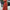Women's Solid Color Knit Scoop Neck Sleeveless Fit and Flare Dress – All-Season Stretch Polyester (95% Polyester, 5% Elastane, 190 g/m²)